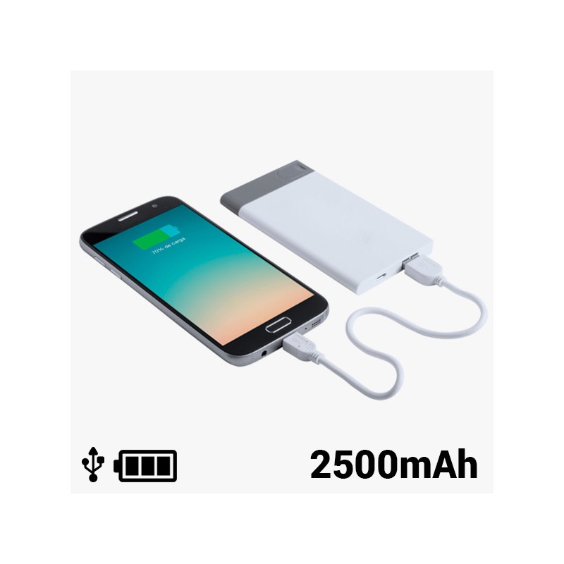 Power Bank avec USB Amovible 2500 mAh 8 GB