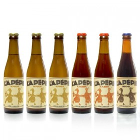 Veel ambachtelijke bieren van Périgord Lapépie Brewery, 6x33cl