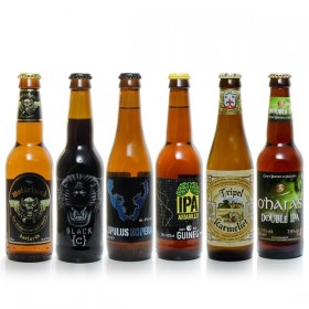 Pack of 6 world beers