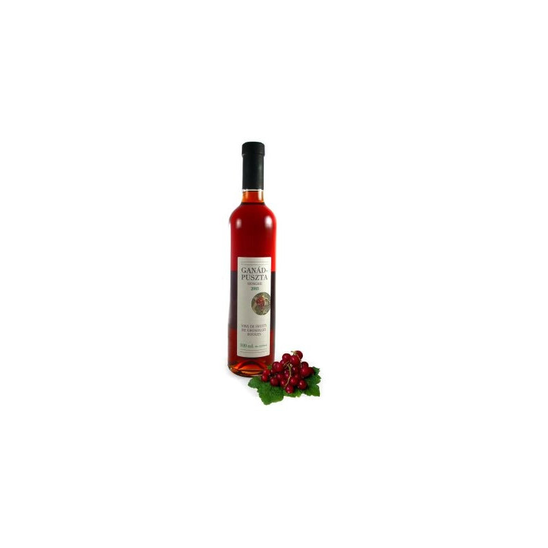 Vin de Hongrie aux groseilles rouges 50cl